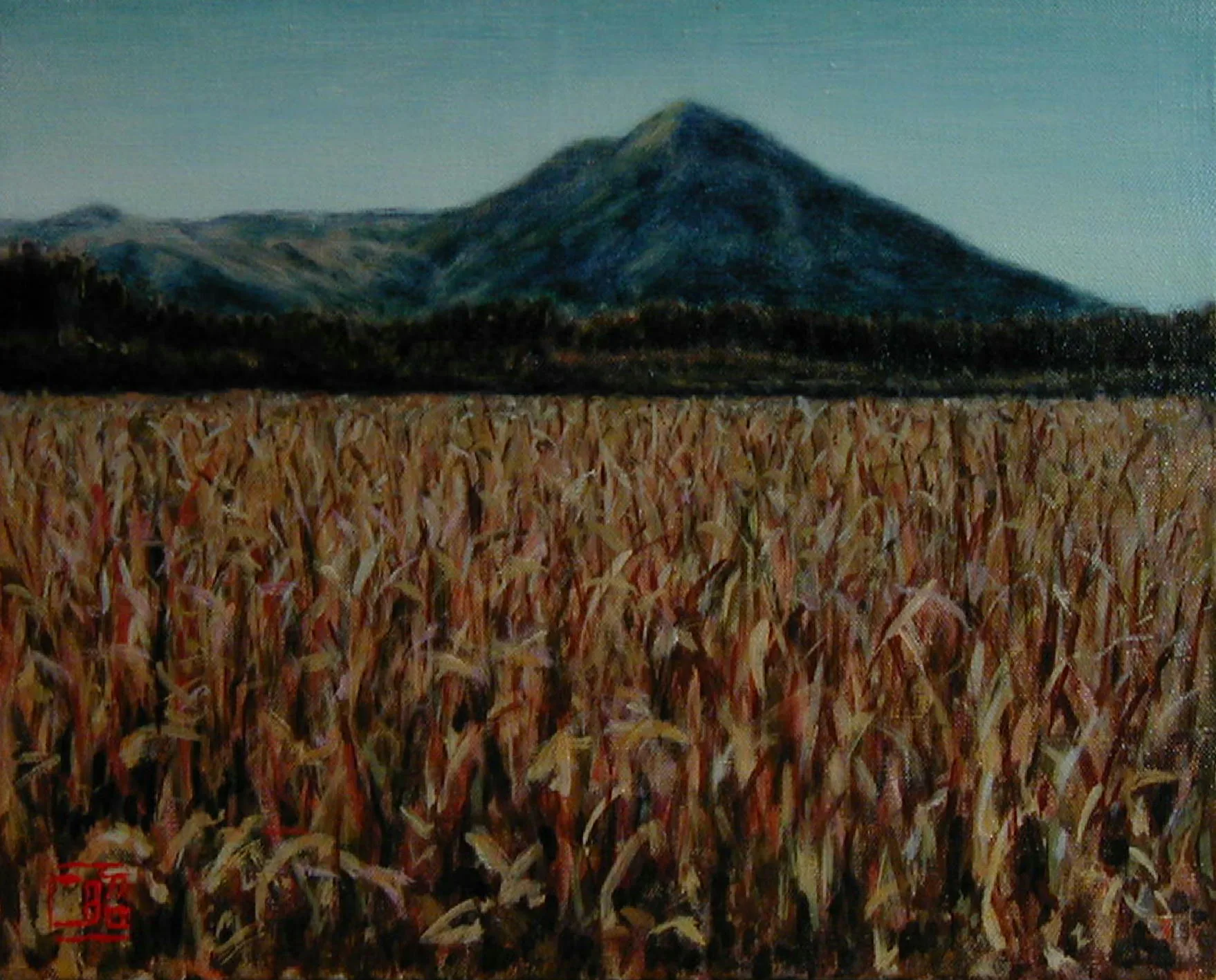 涌蓋山・千無田で