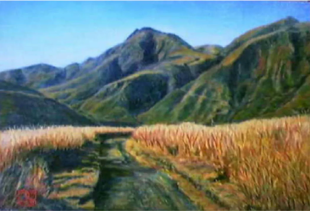 白口岳
